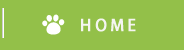 ホーム