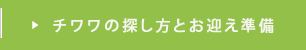 チワワの探し方とお迎え準備