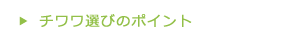 チワワ選びのポイント