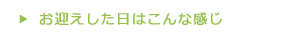 お迎えした日はこんな感じ