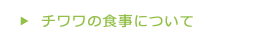 チワワの食事