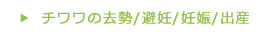 チワワの去勢/避妊・妊娠/出産