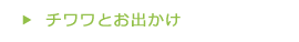 チワワとお出かけ